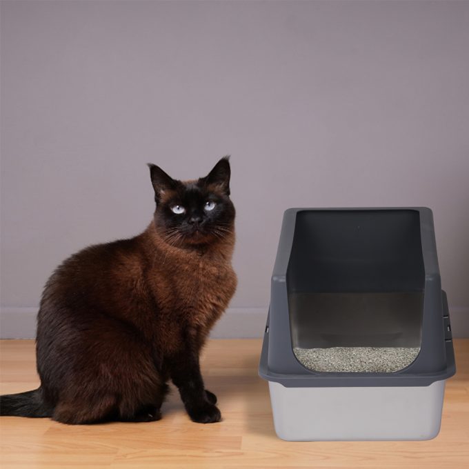 XL Stainless Steel Cat Litter Box with Lid