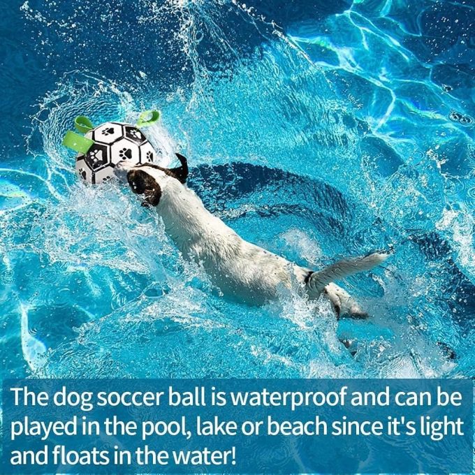 Durable Soccer Dog Chew Ball with Strap
