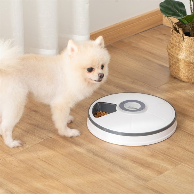 Cat Food Feeder Bow,Auto Feeder for Cats/Small Dogs