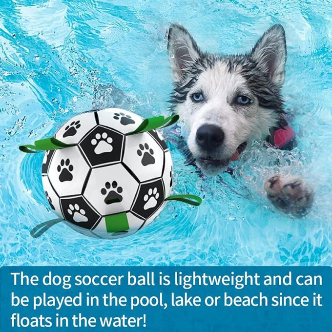 Durable Soccer Dog Chew Ball with Strap